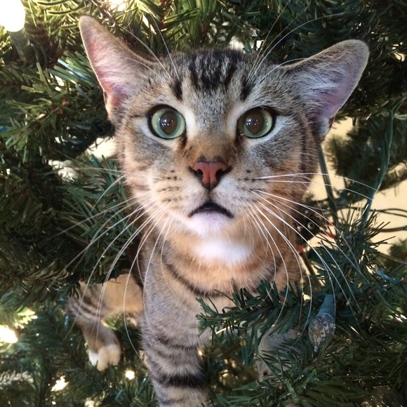 Meet your Posher, =Grama - Picture 3 of 3